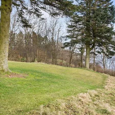 Awesome In With Kitchen